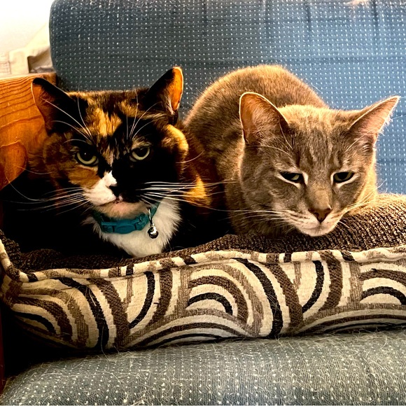 UNLISTED - Picture 1 of 1